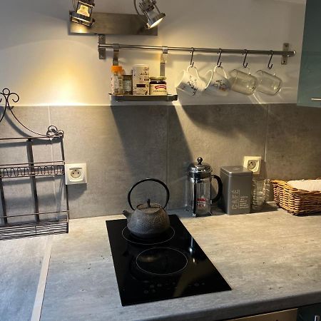 Апартаменты Petit Studio De La Maison Du Bonheur - Rez De Jardin Вилье-сюр-Марн Экстерьер фото